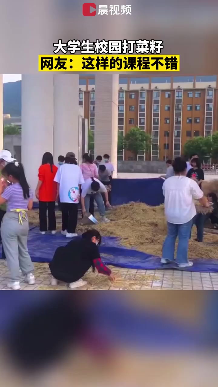 大学生校园打菜籽,网友:这样的课程不错