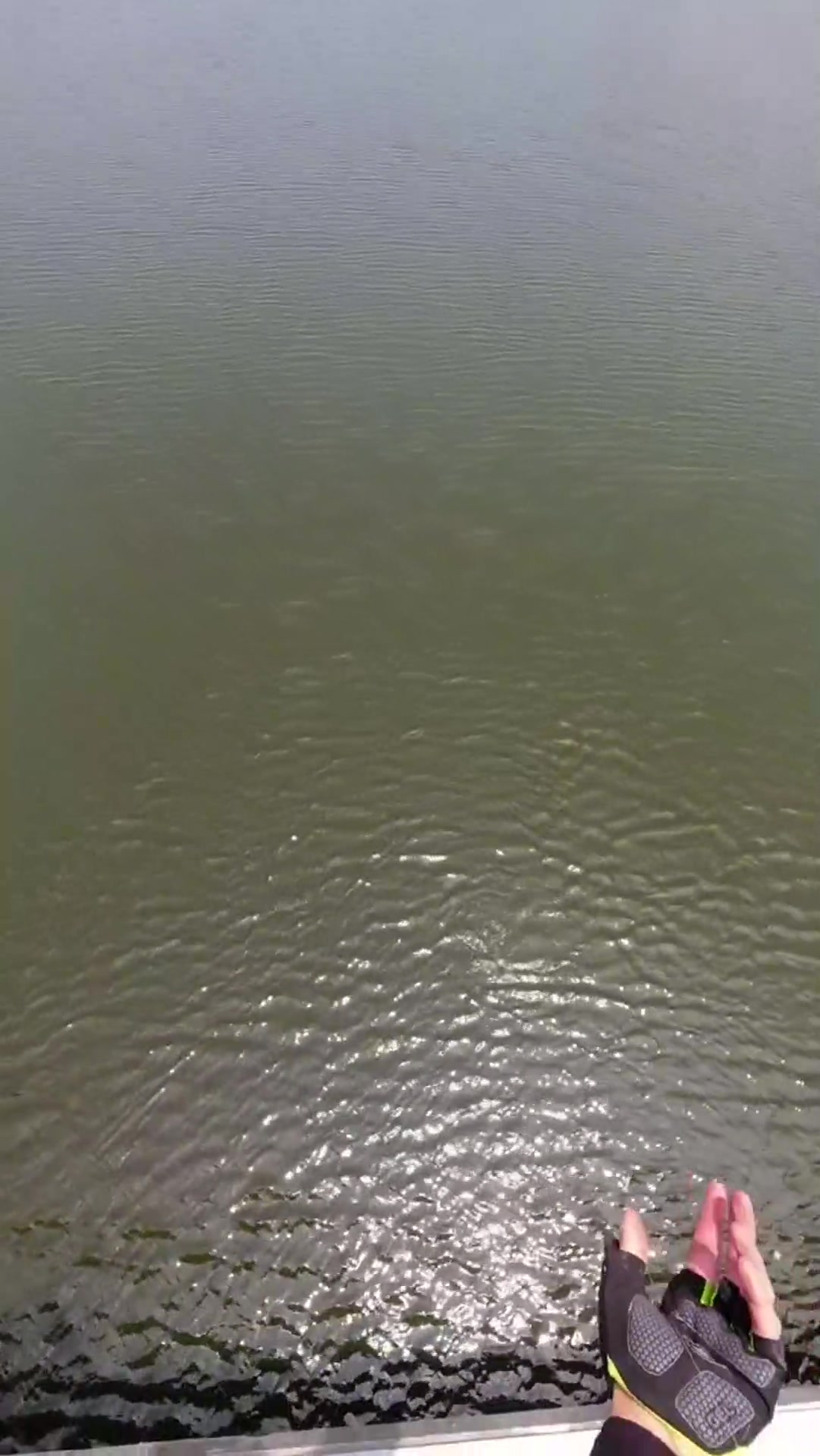 鱼镖射鱼户外弹弓这么准?看完大哥接下来的操作,我人傻了