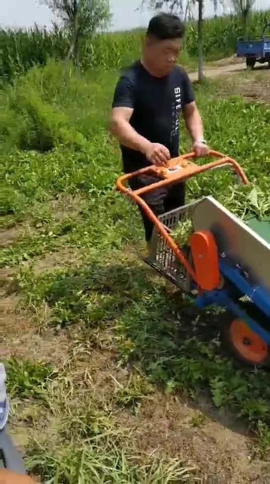 叶菜收割机蔬菜收割机韭菜收割机菠菜芹菜收割草收割叶草收割机打