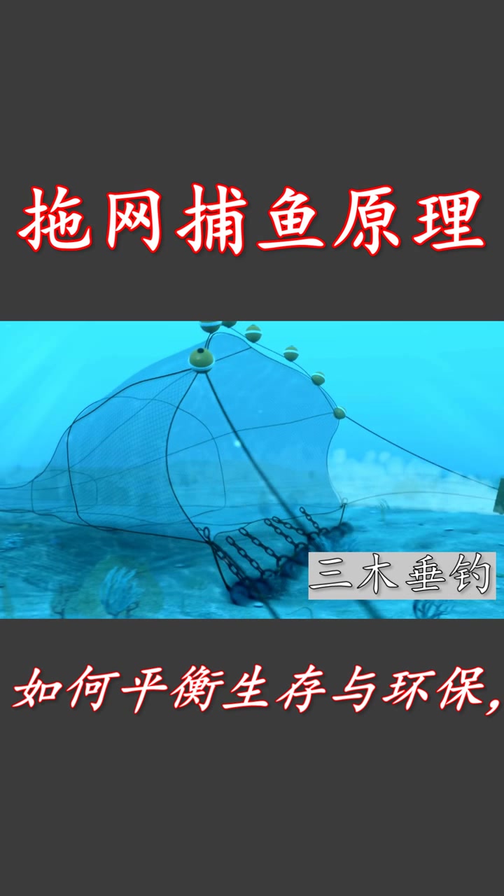 拖网捕鱼原理! 拖网捕鱼原理! #钓鱼# #科普# #环保# @百家号百家榜 