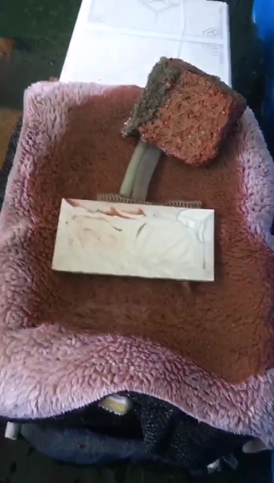 阳台上自制的小鱼池
