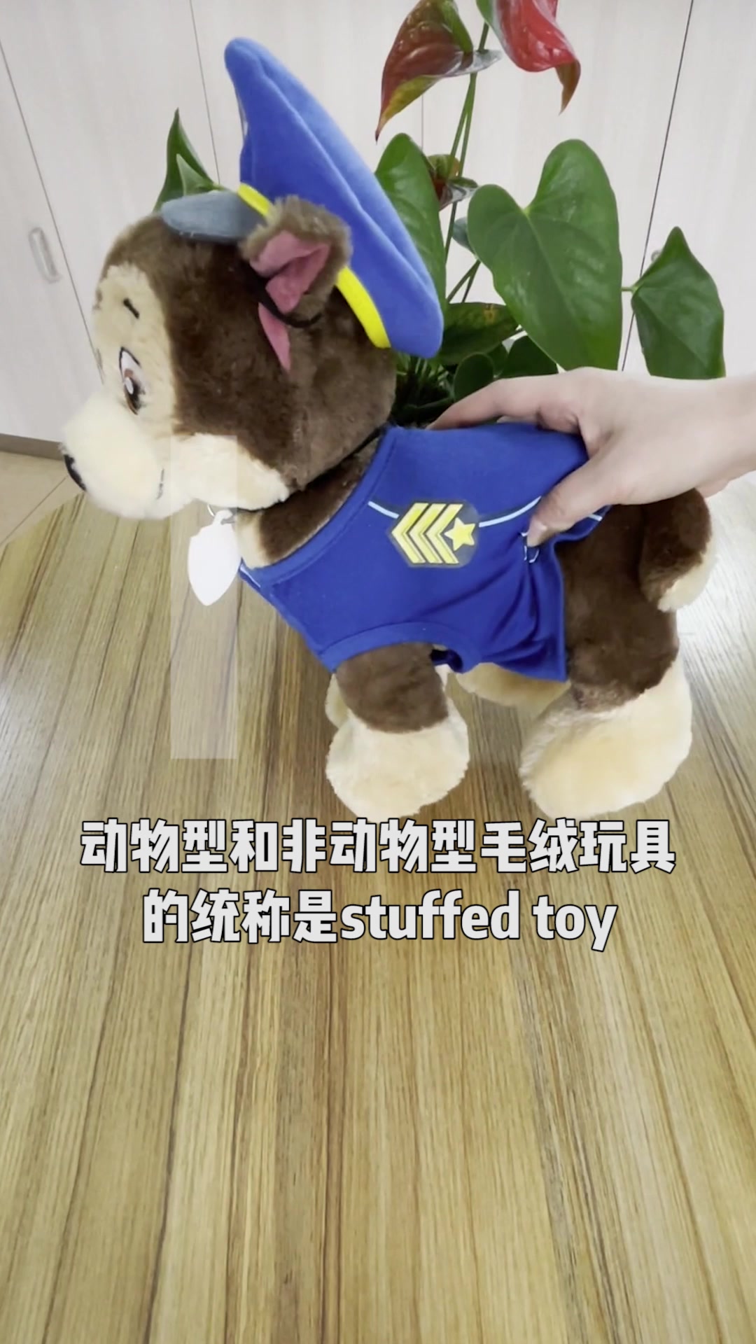 毛绒玩具英文怎么说?