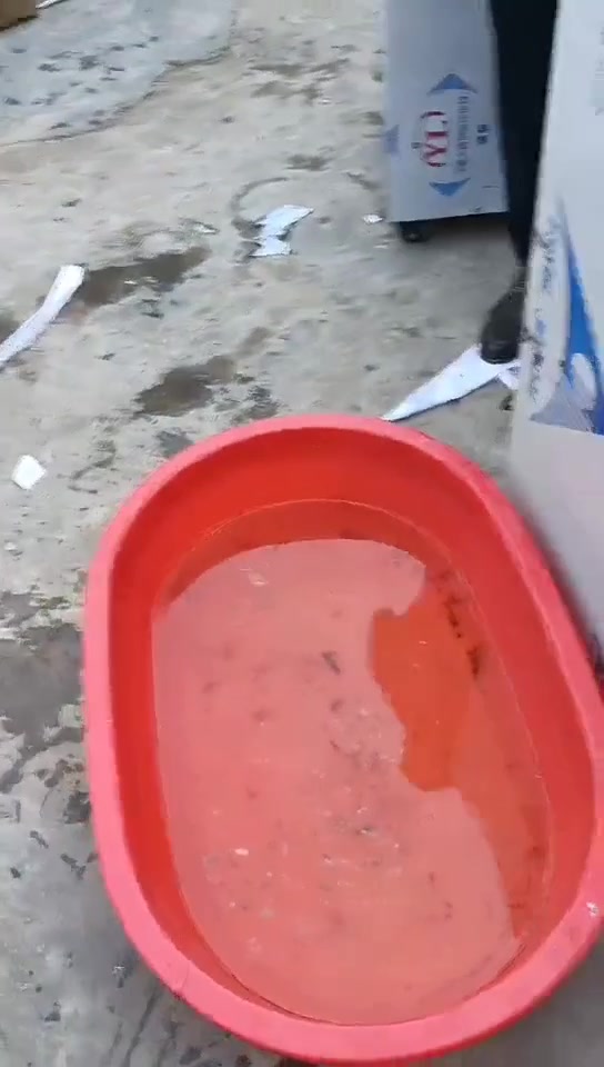 草鱼去鳞开背,多种淡水鱼一机通用