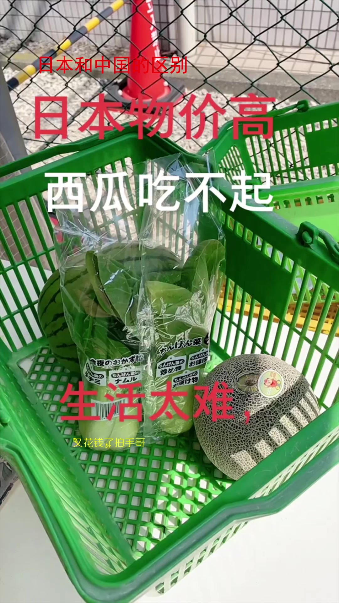 日本物价高水果蔬菜贵,我们都不敢吃,外国打工太难了