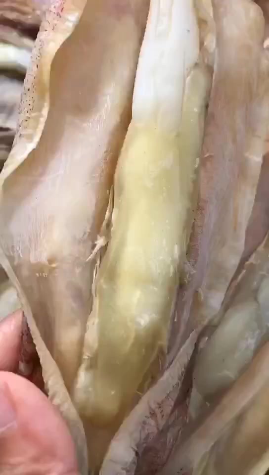 鱿鱼母干滋补女人做月子炖排骨炖猪心,调节女人体虚!东山岛海鲜