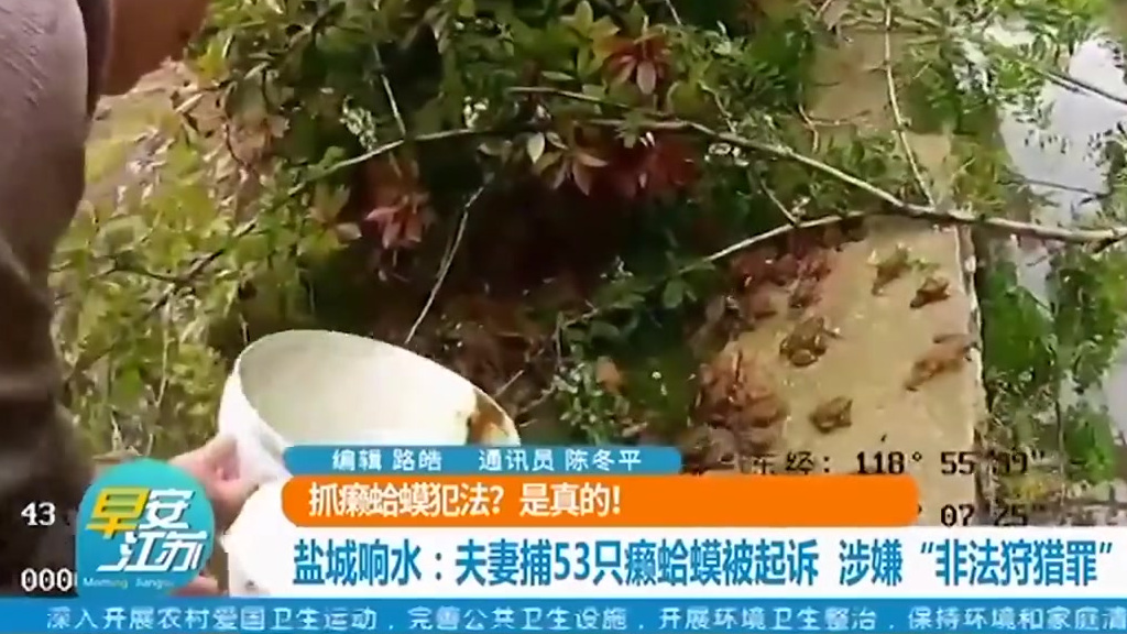【抓癞蛤蟆违法!夫妻捕53只癞蛤蟆被起诉 [话筒]】近日,江苏盐城,民警夜间巡逻时发现,村