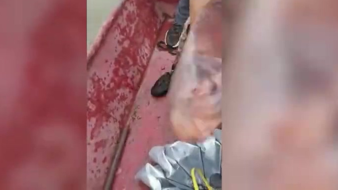 【江西发现有史以来最大国家二级保护动物】5月16日,江西省水产科学研究所在长江湖口水域科研