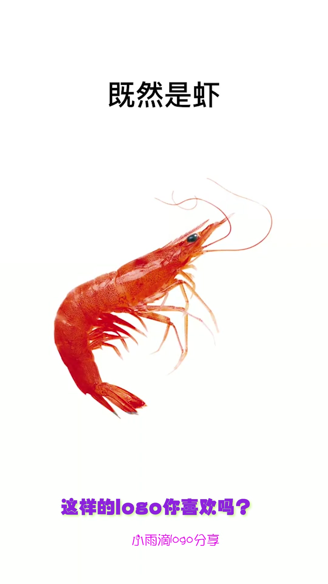 虾店的logo究竟该如何做?设计师一出手,老板竟然笑了