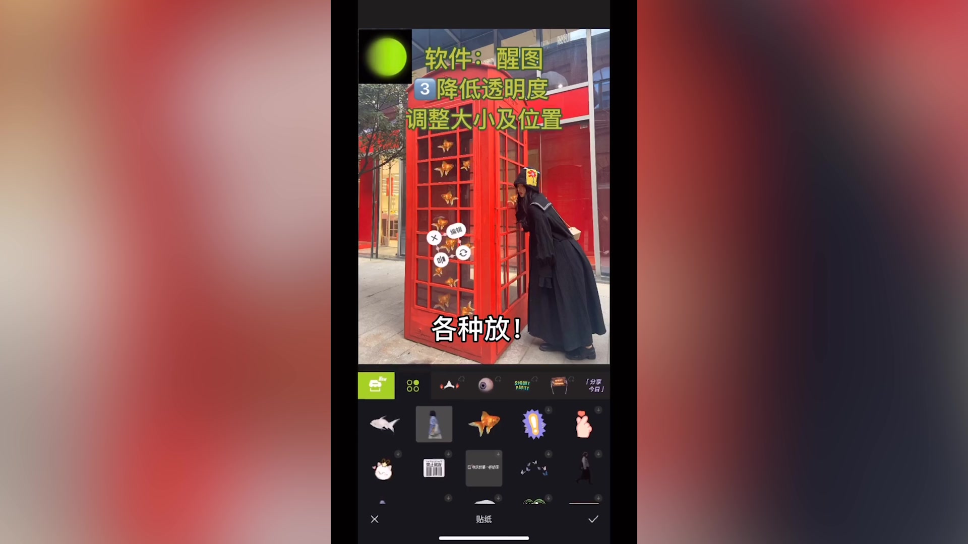 金鱼电话亭来啦～