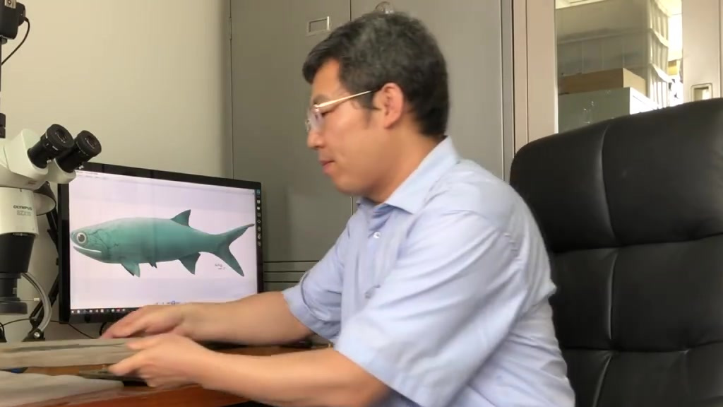 【云南发现2.44亿年前古鱼化石】5月19日,中国科学院古脊椎动物与古人类研究所发布消息说