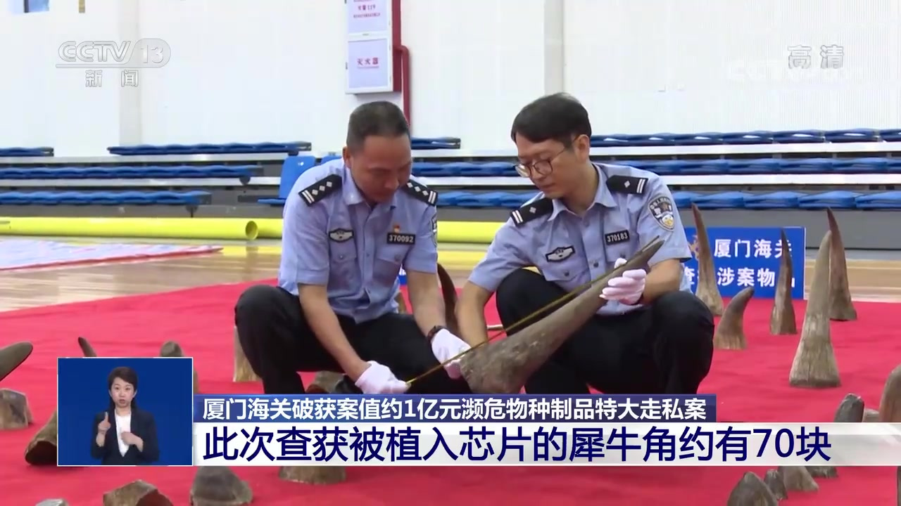 【100头犀牛惨遭屠杀 厦门海关截获70块被植入芯片犀牛角】非洲部分国家为保护犀牛,在犀牛