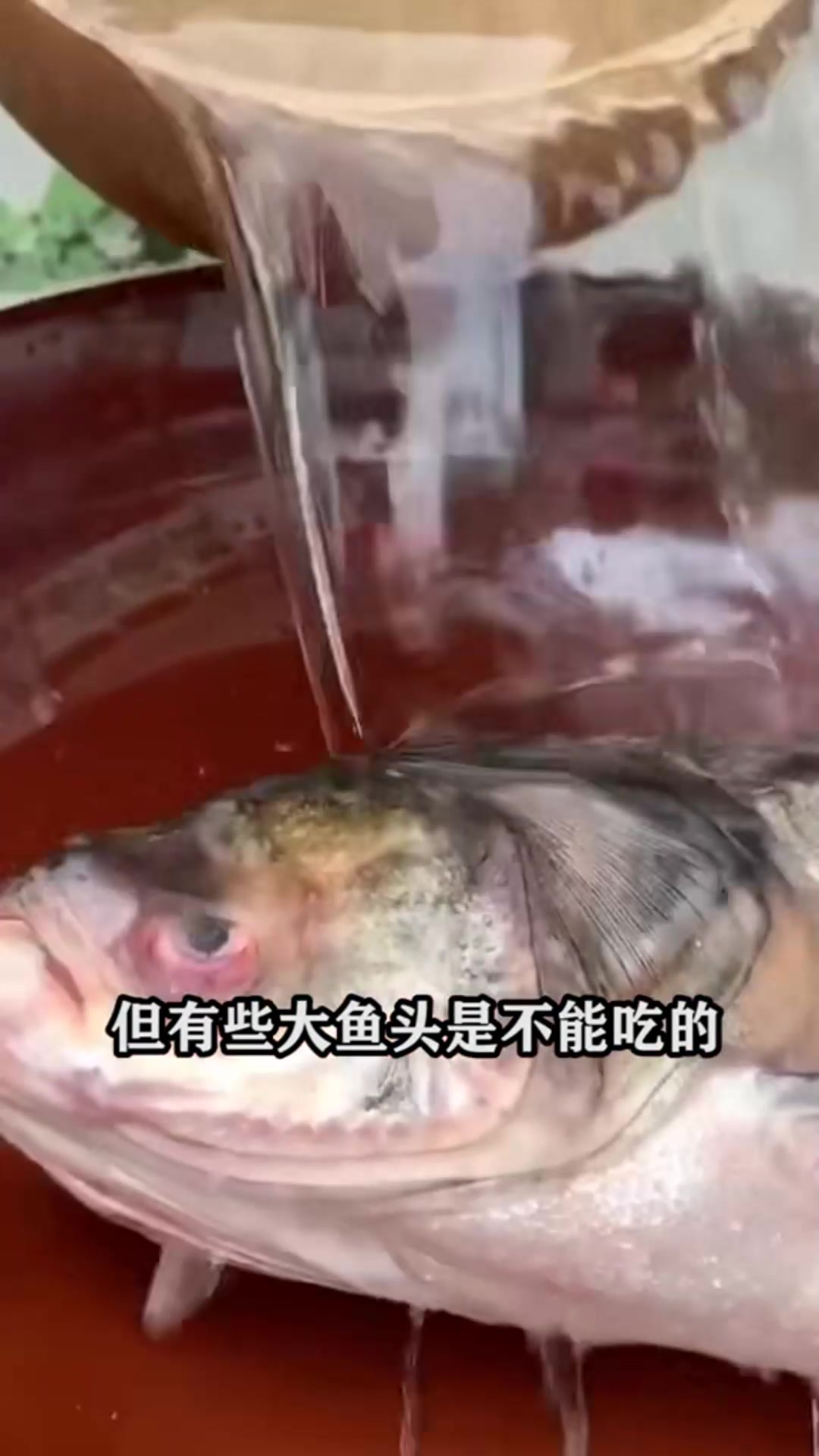 鱼身上最脏的部位,居然还有人当美食!