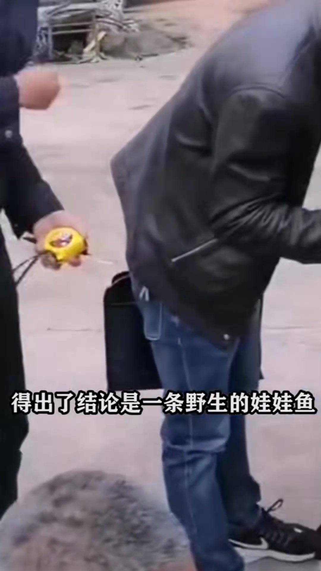 江苏男子捕获1米多长“怪物”,村民纷纷围观,没人认识!