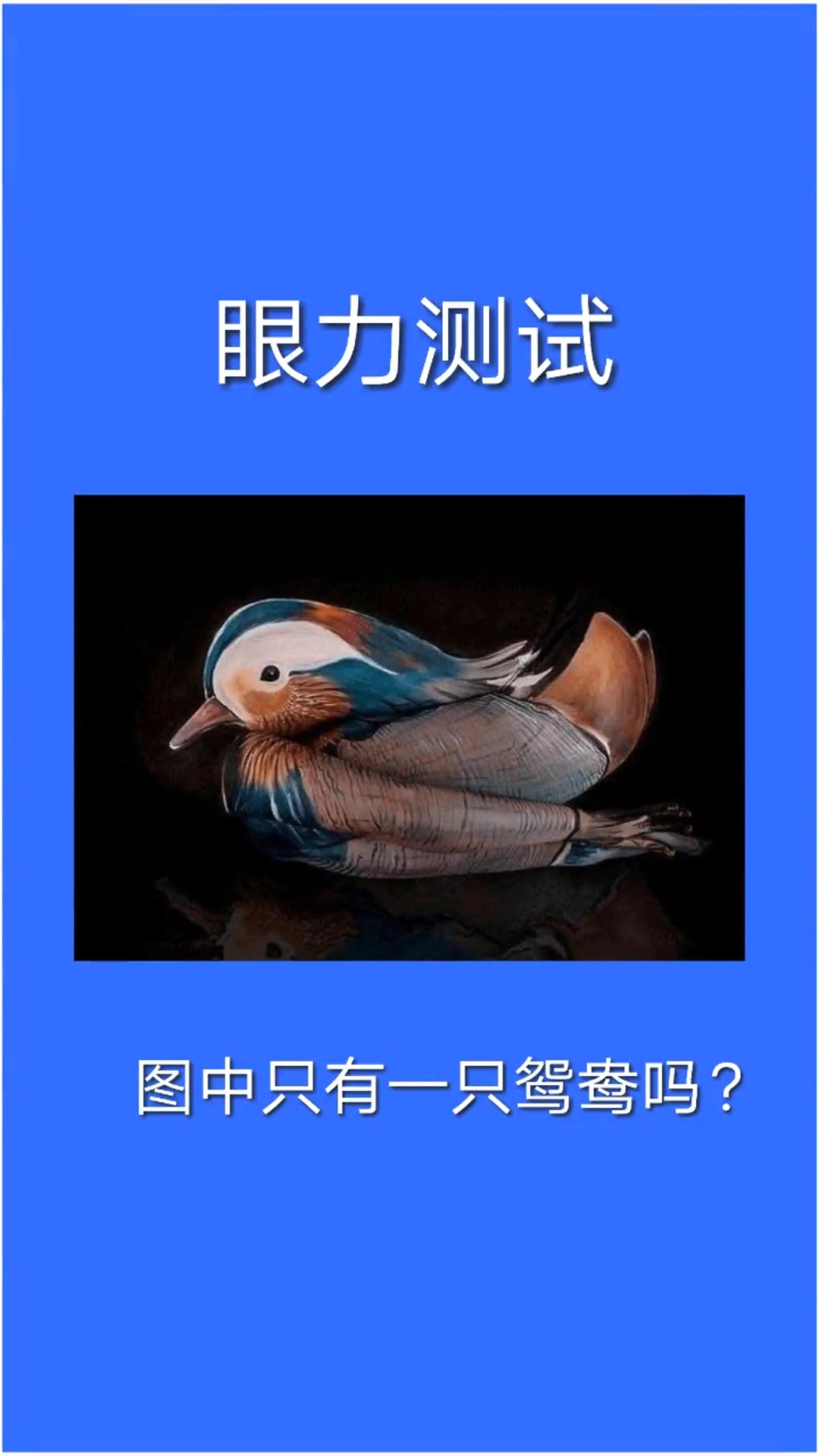 眼力测试:图中只有一只鸳鸯吗?你能看出几只?