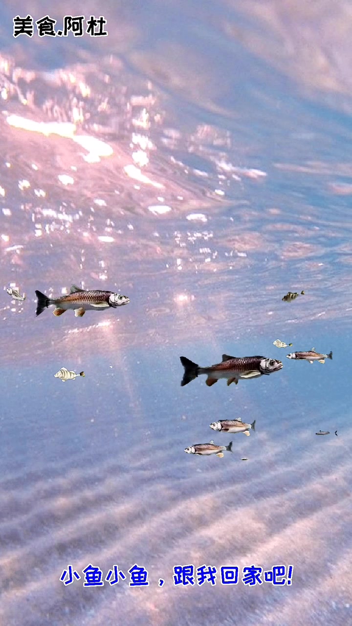 破壁机版鲫鱼汤,竟然有这么多好处!