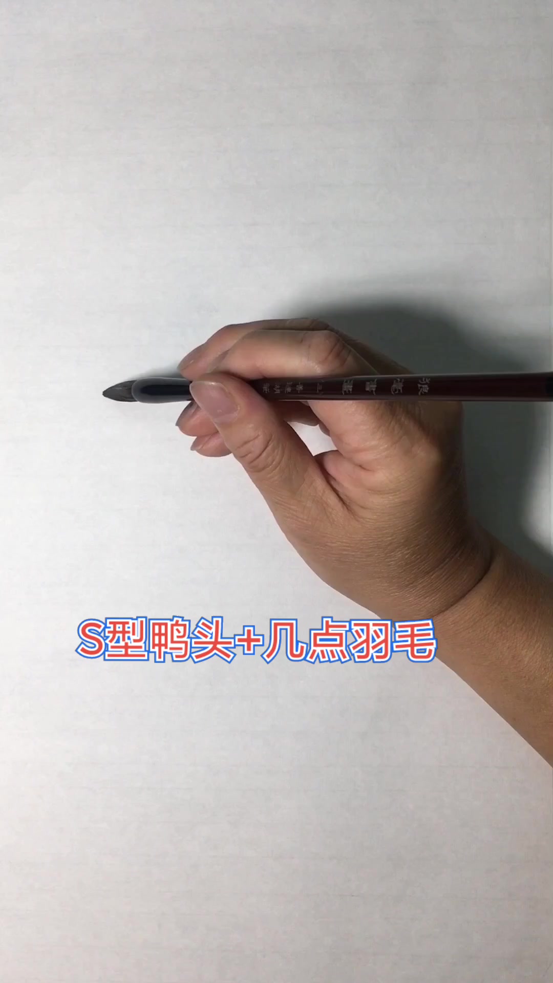 中国水墨画技法,零基础学国画 山水画 花鸟画 简笔画 写意画
