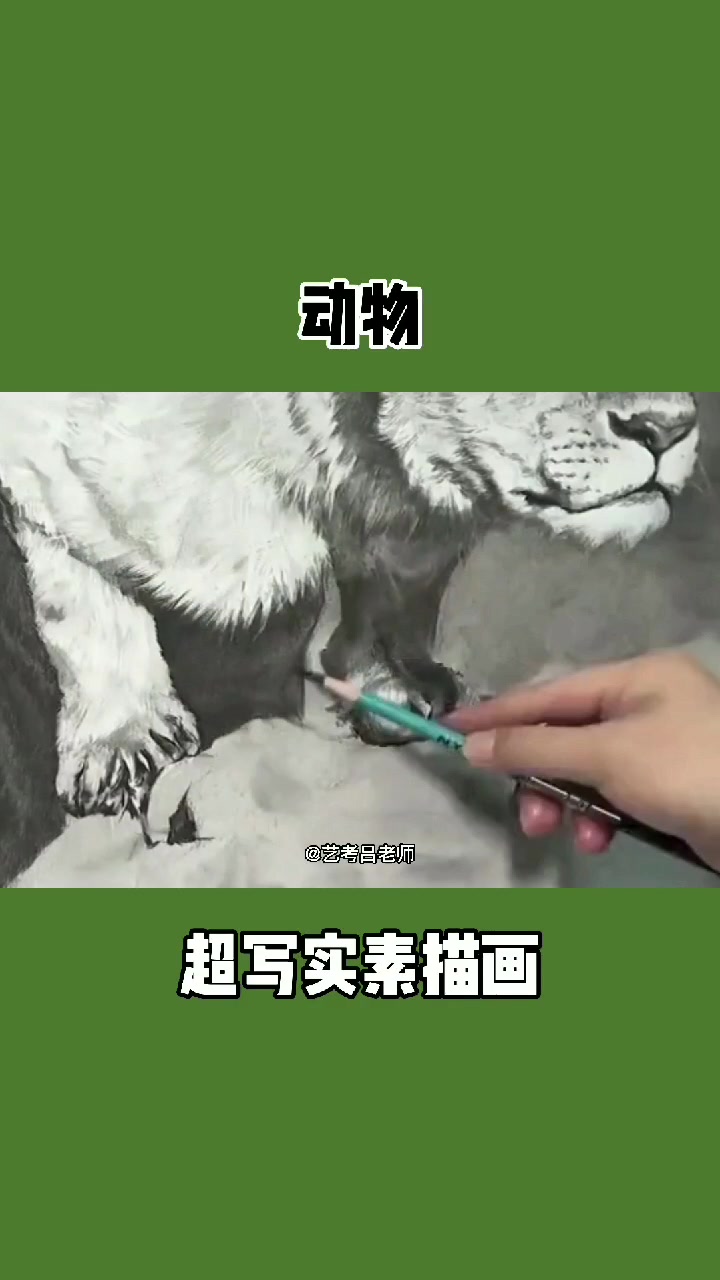 动物超写实素描