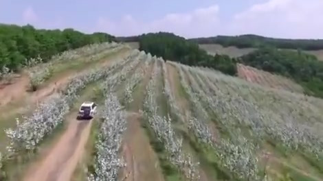 【荒山变果园 花开引客来】5月22日,在#牡丹江# 市林口县柳树镇绿园果树种植专业合作社内