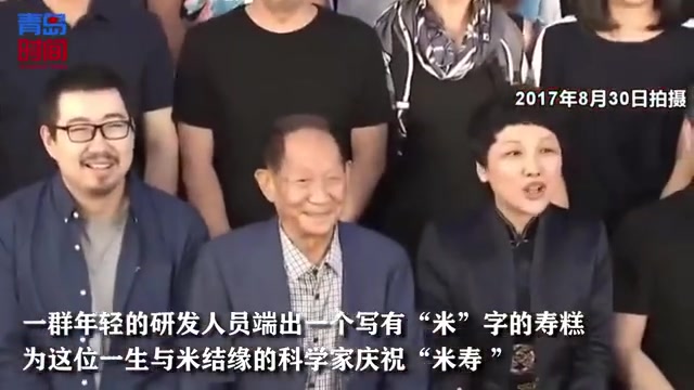 稻穗状烟花 100秒追记袁隆平与青岛:一位老人与海的故事 微博名后的小稻穗 (青岛新闻网)