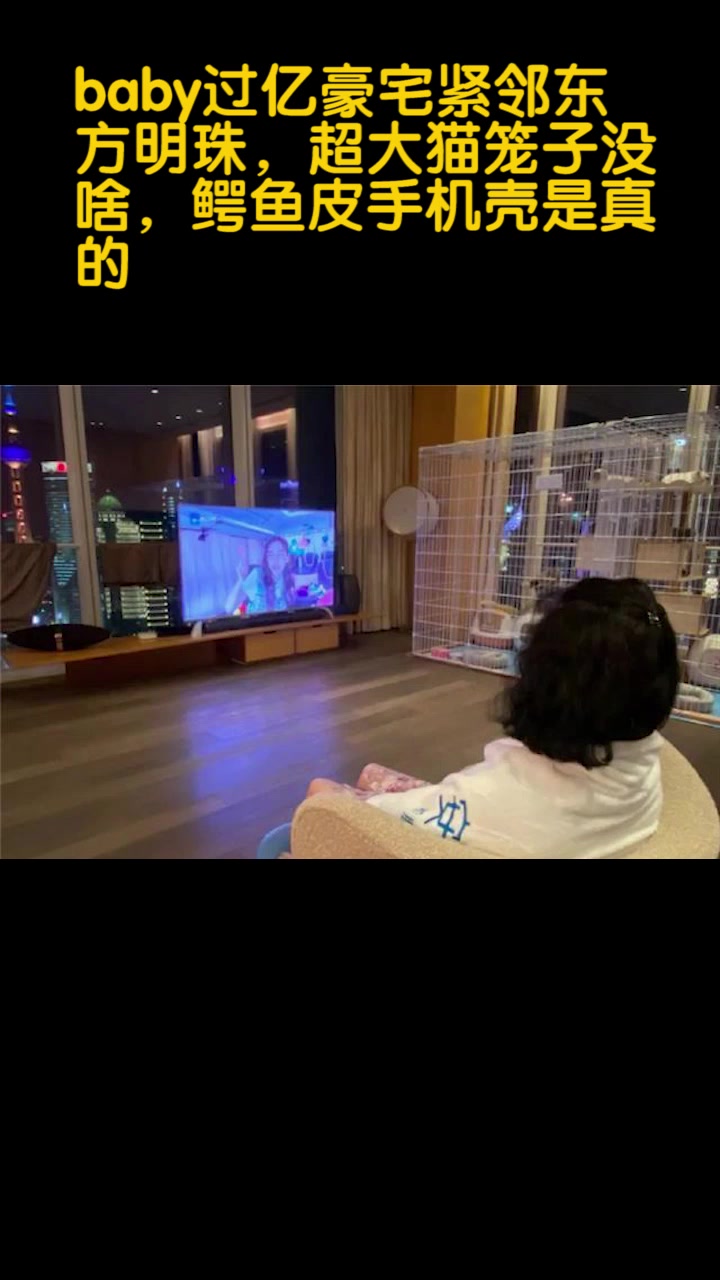 baby过亿豪宅紧邻东方明珠,超大猫笼子没啥,鳄鱼皮手机壳是真的