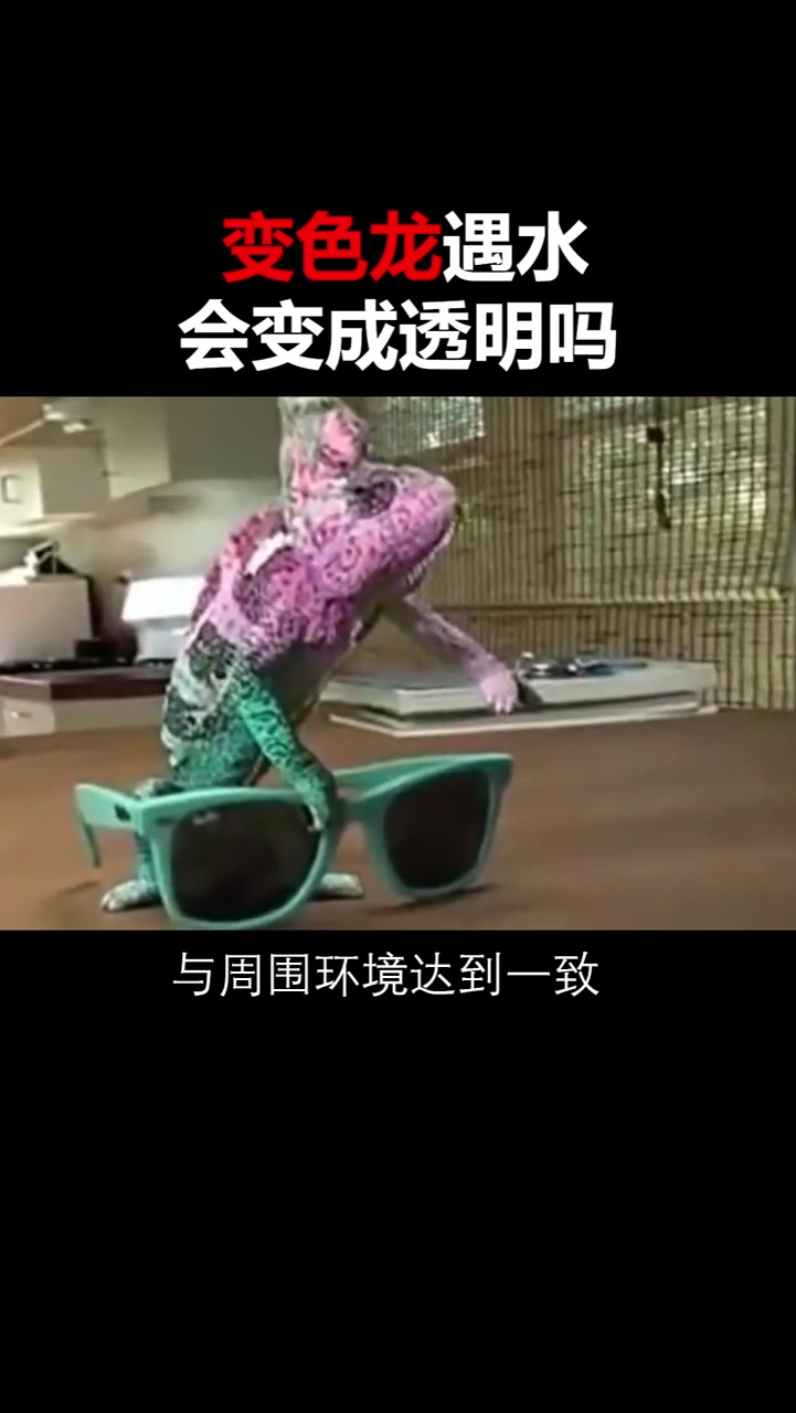 变色龙遇见水会变透明吗,看完你就明白了,你猜对了吗?