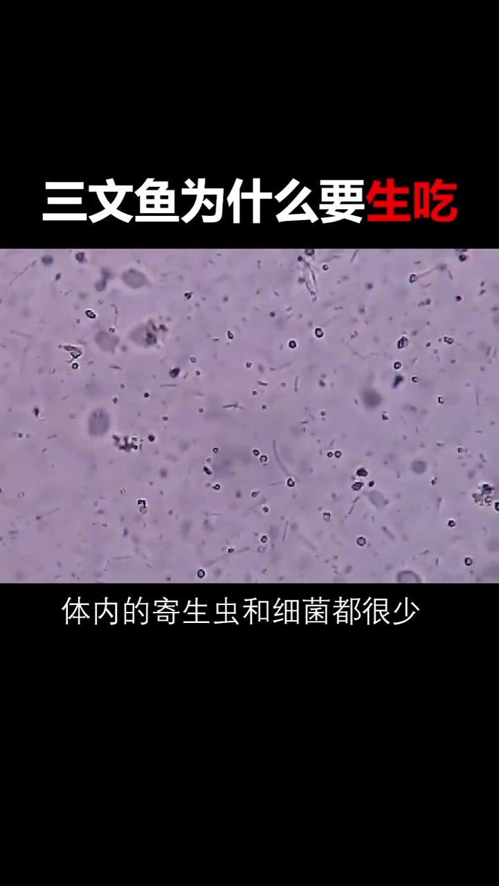 三文鱼为什么要生吃,这才是最重要的原因,看完明白了