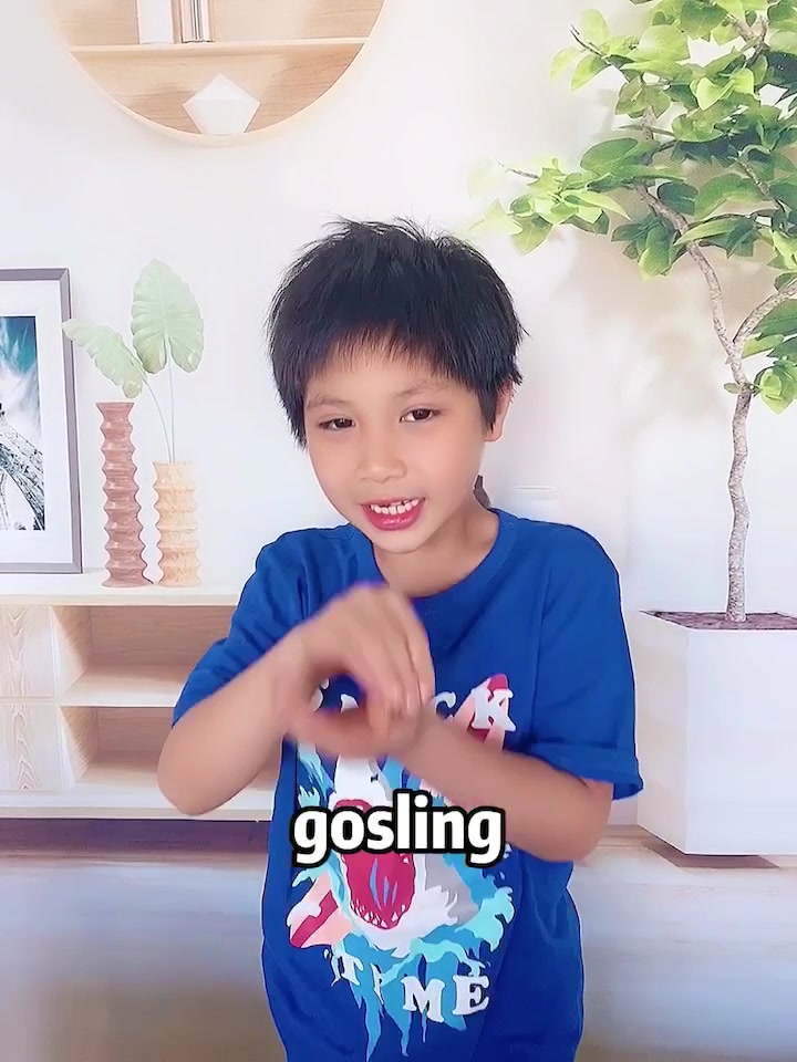 鹅英文是goose吗?错!
