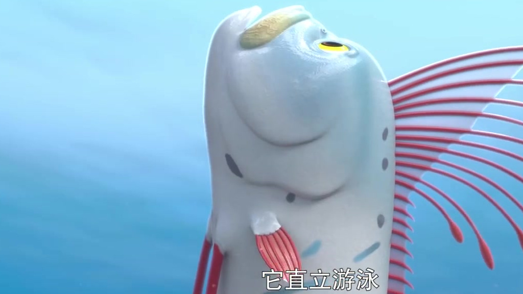#猪猪侠#????站着游泳的皇带鱼,又被叫做“龙王鱼”别看它平时游得慢,危险来了能像弹簧一样快速