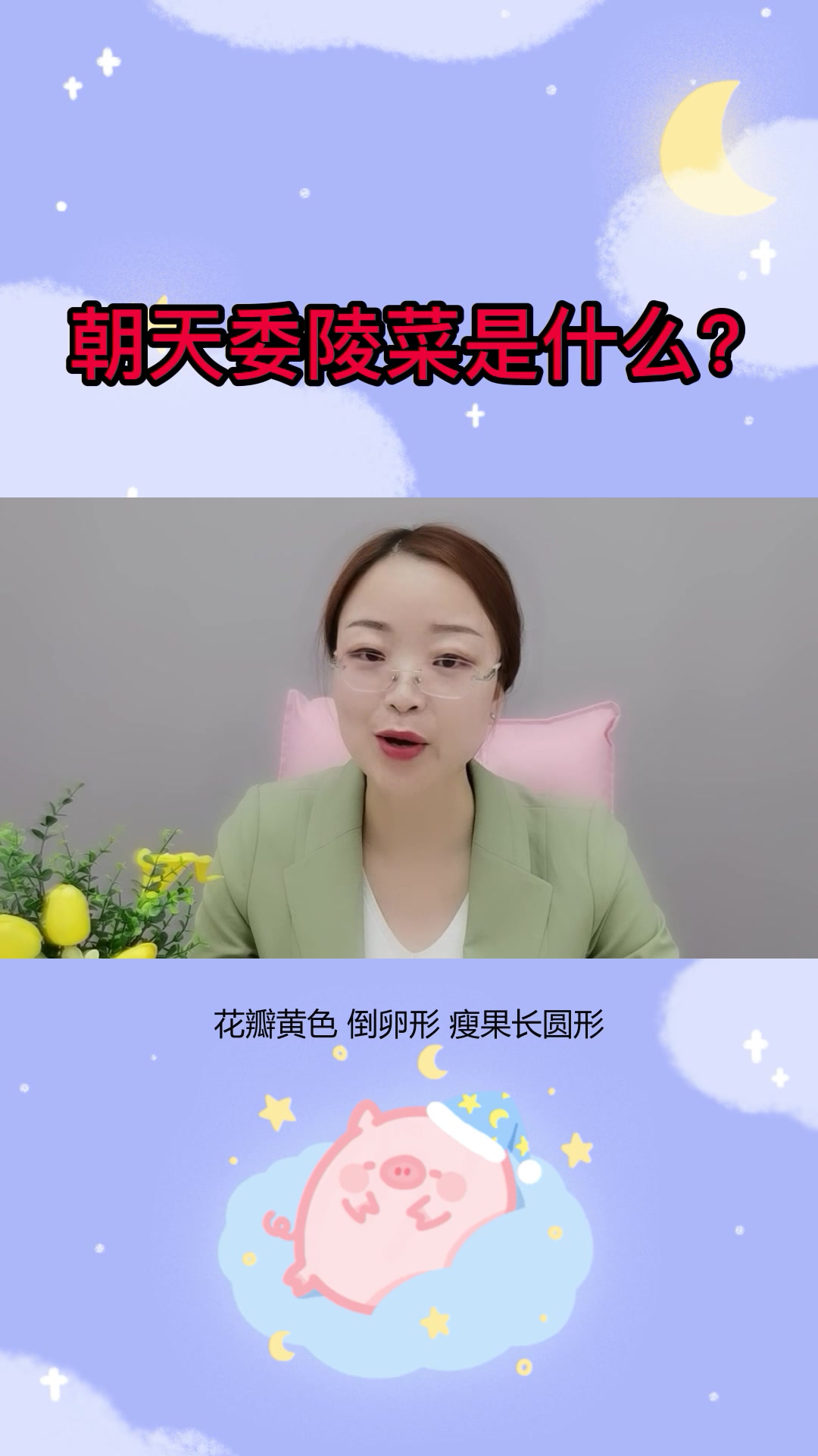 一分钟带你了解朝天委陵菜