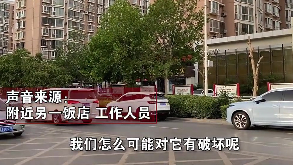 【郑州5人投毒18棵行道树被抓,为餐饮企业员工】5月26日,河南郑州,网曝英协路上15棵法