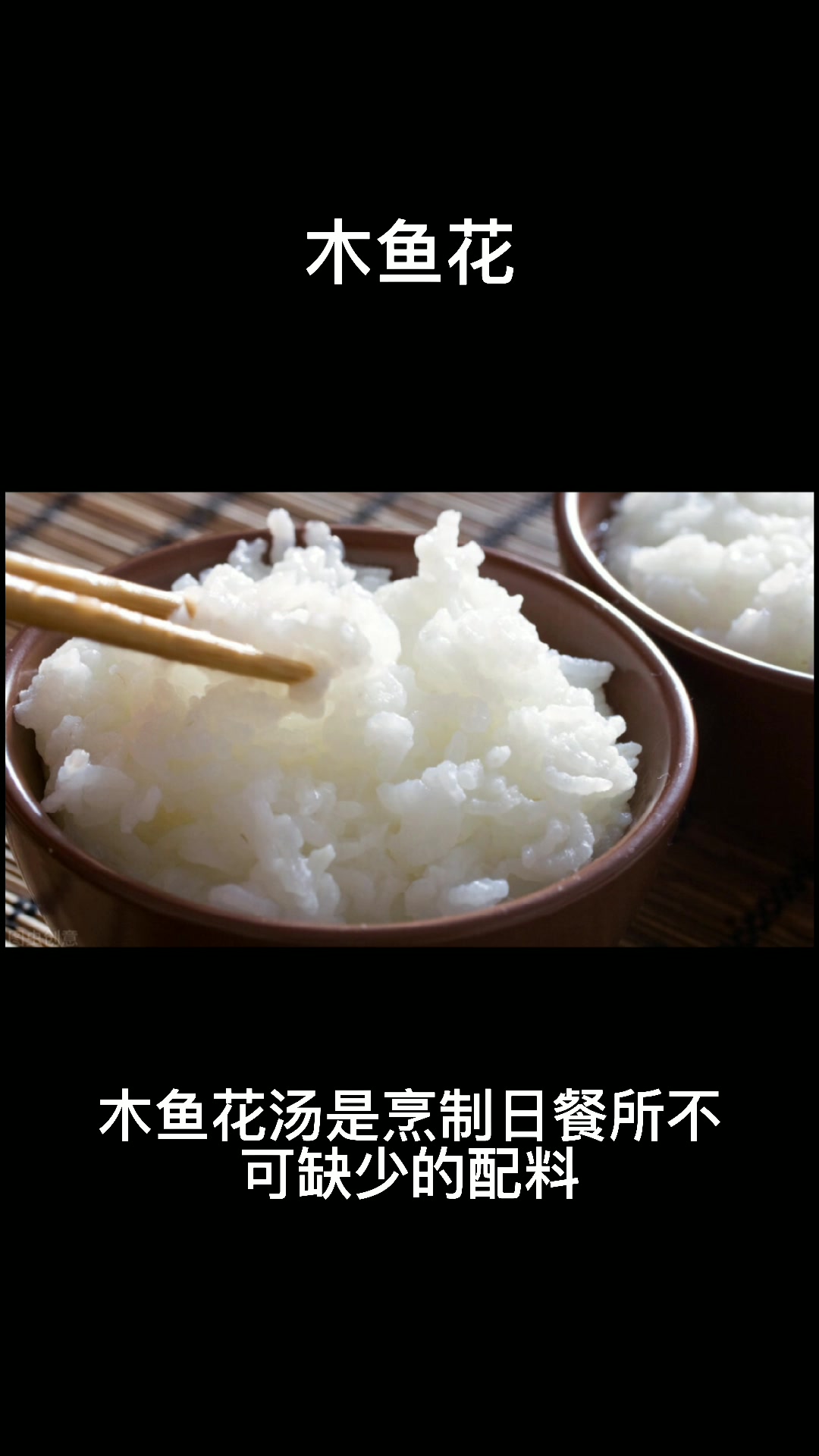 木鱼花为什么会动
