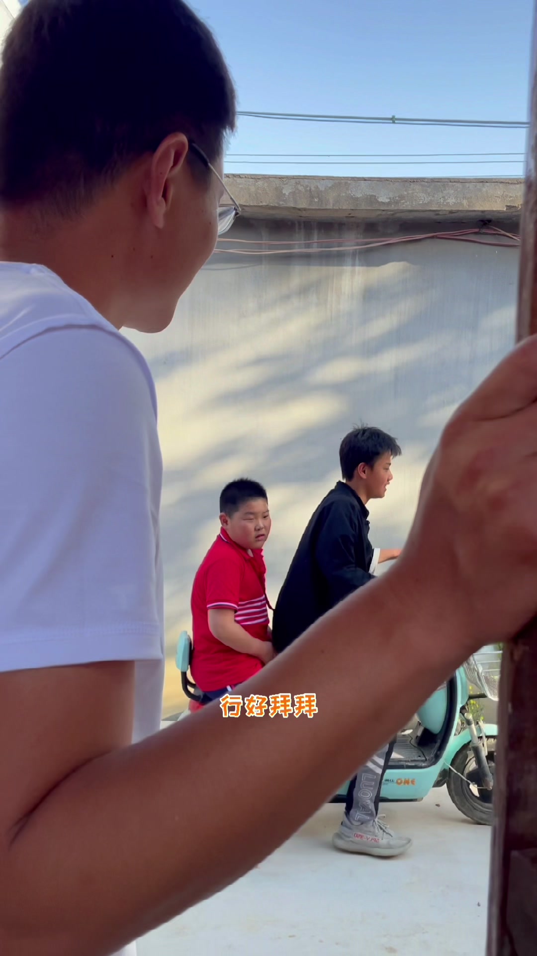 我老公做的小菜园,竟然挂果了