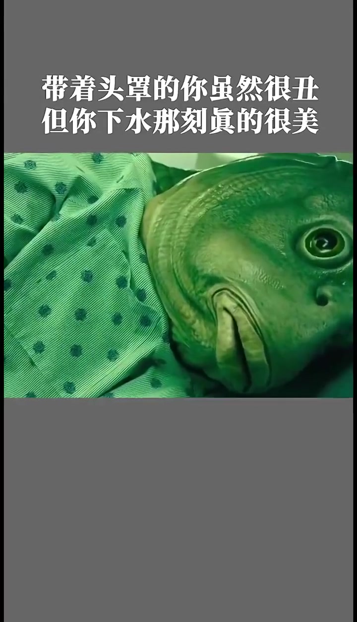 我终于知道绿头鱼头套的由来了       