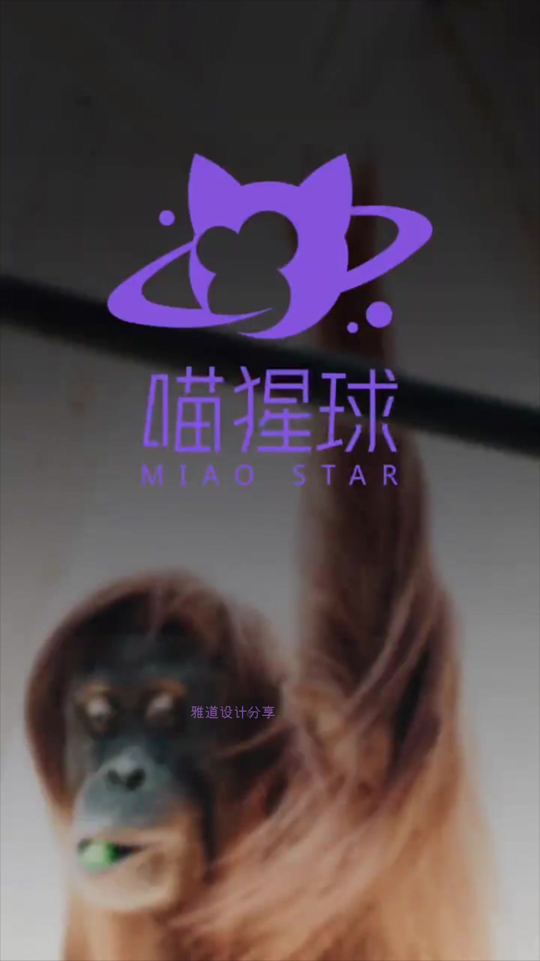 什么是猫咪的快乐星球?三种logo设计,奇怪的要求设计师都搞不定