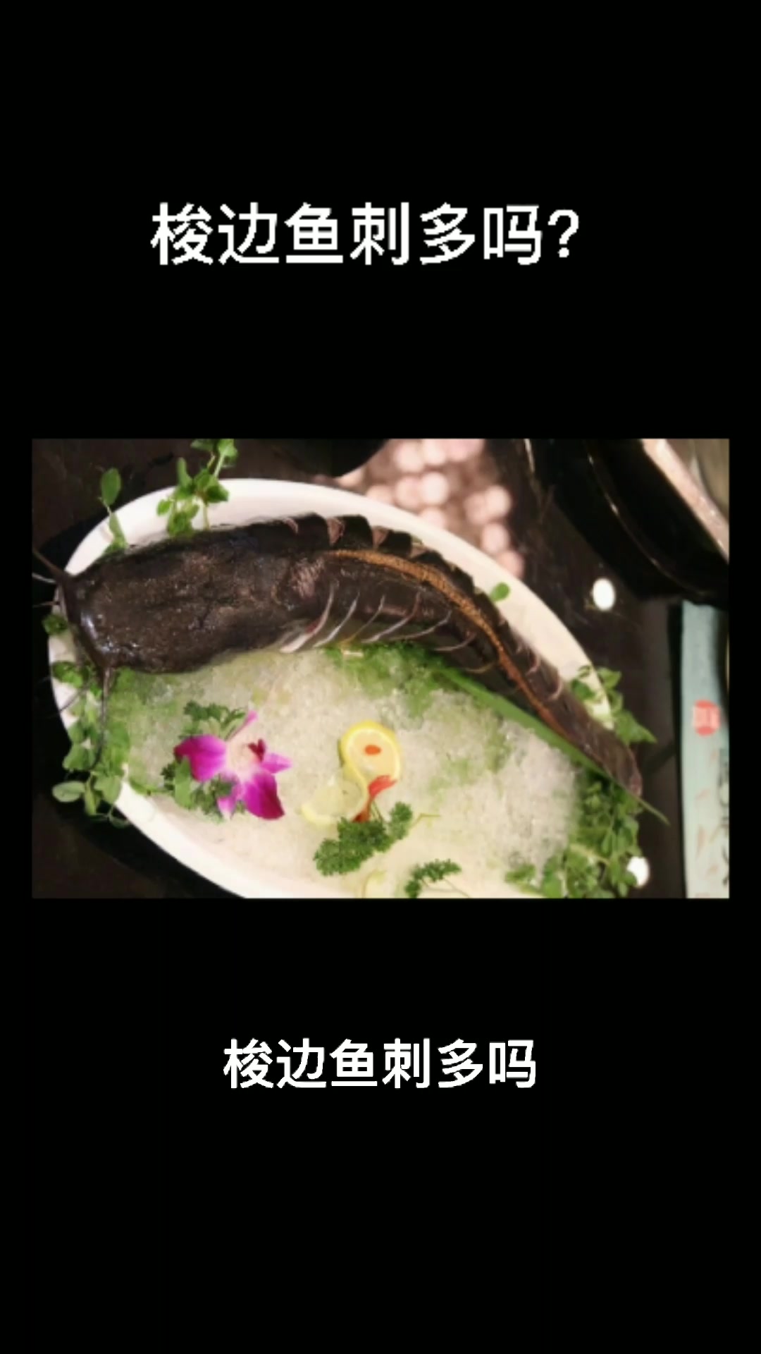 梭边鱼刺多吗??