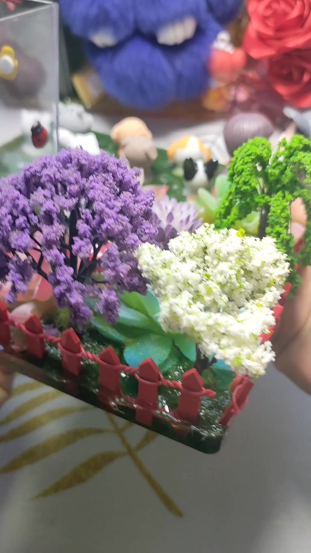 多肉植物微景观摆台,免去了饲养的麻烦!