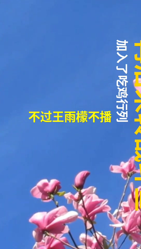 斗鱼王雨檬为什么不播了