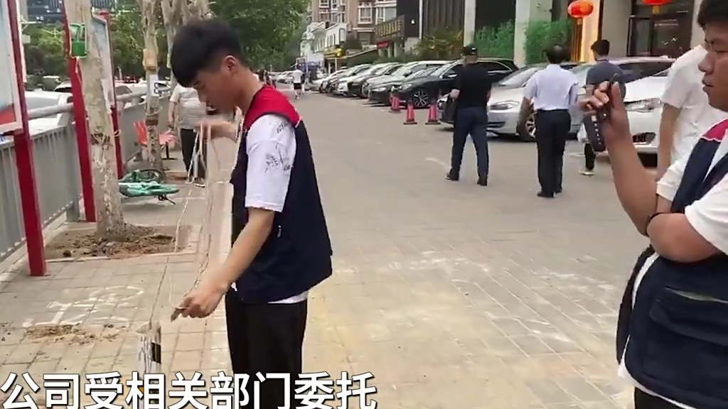 【郑州餐馆总部因门店毒死十几棵树道歉:属员工个人行为,将积极配合公安部门调查,相关部门正委