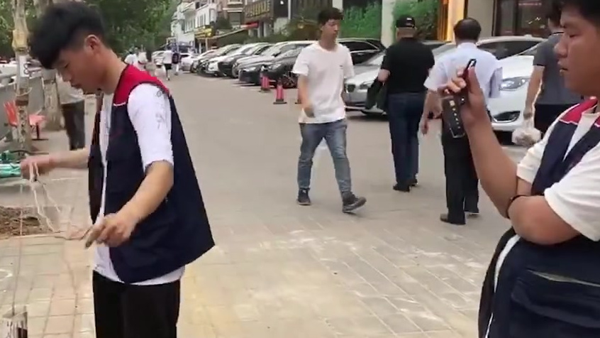 【郑州餐馆总部因门店毒死十几棵树道歉:属员工个人行为,将积极配合公安部门调查,相关部门正委