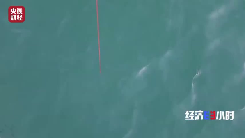 【可钓600斤鲨鱼、可拉3吨卡车...小小鱼竿拉动百亿产业】对于威海人而言,小小的鱼竿带给