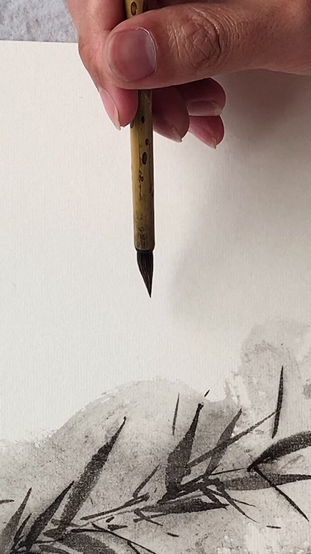 小鱼儿中国画.国画教学