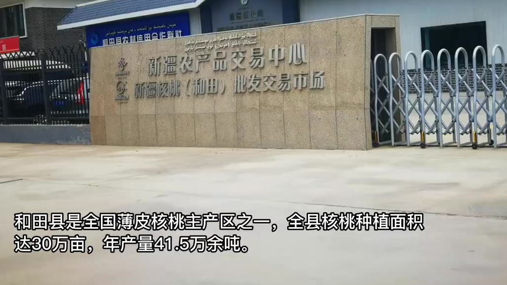 【来这里买核桃,价格和品质有保障!】和田县是全国薄皮核桃主产区之一,全县核桃种植面积达30