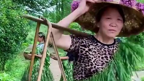 【农村大妈抱自家蔬菜走秀 脸上全是丰收的骄傲】湖南辰溪。农村里一群大姐自导自演了一场自制蔬
