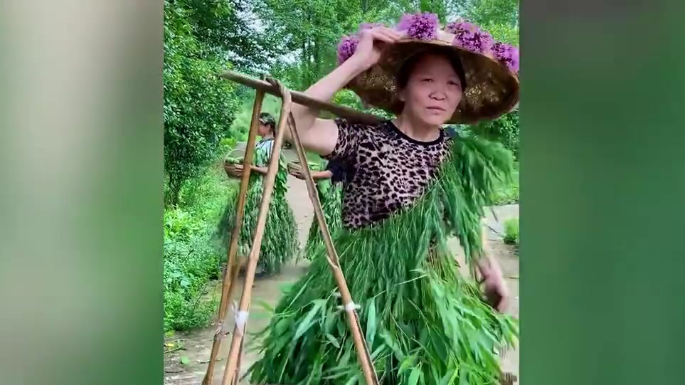 【农村阿姨自制蔬菜时装秀 脸上全是丰收的骄傲[嘻嘻]】近日,湖南辰溪农村“模特队”自导自演