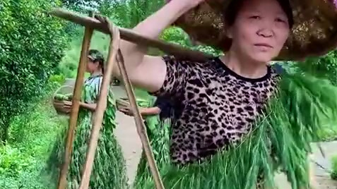 【农村阿姨自制蔬菜时装秀&nbsp;脸上全是丰收的骄傲[嘻嘻]】近日,湖南辰溪农村“模特队”自导自演