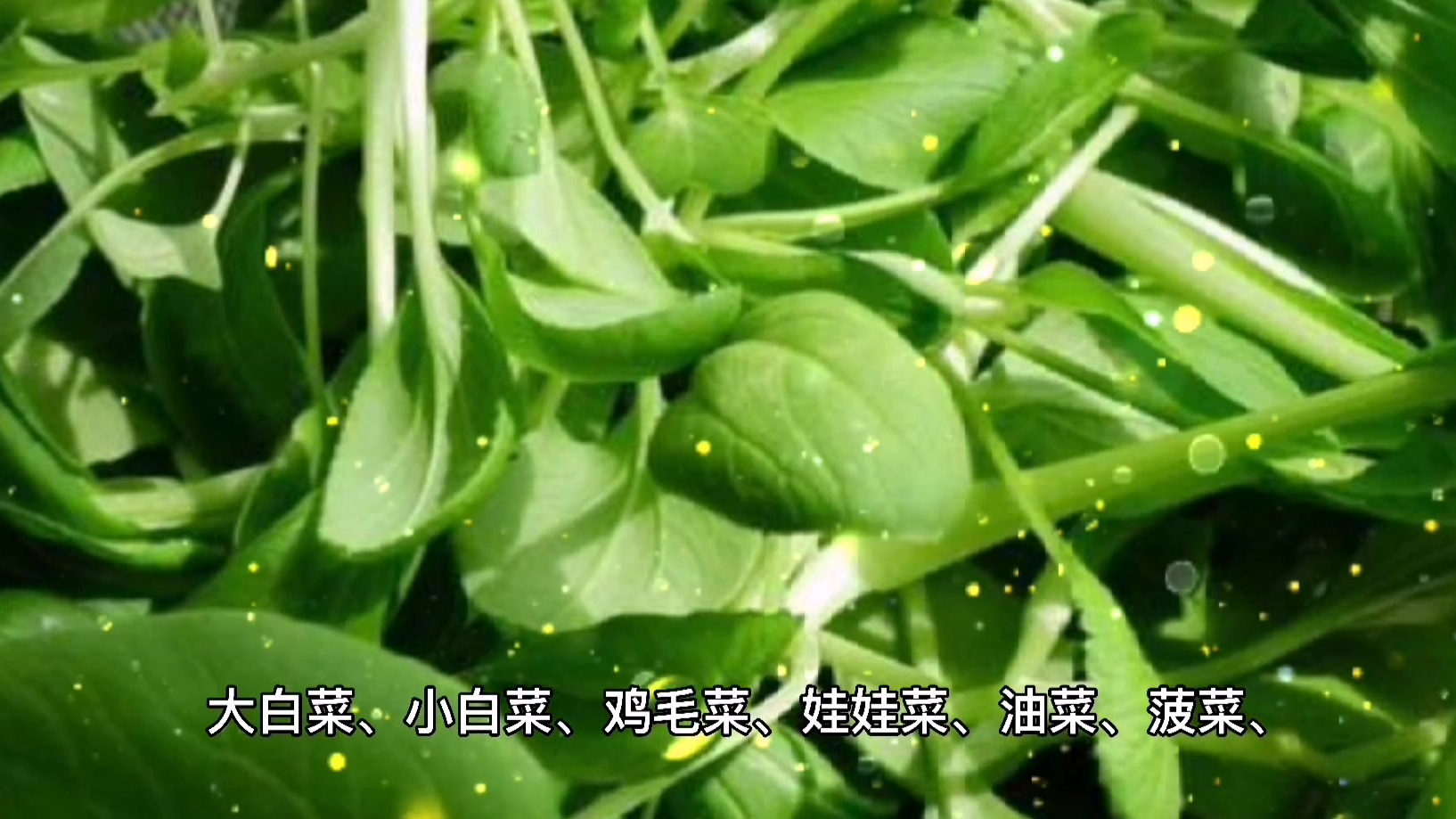 身体健康,注重养生;营养均衡,保养肠胃 身体健康,注重养生;营养均衡,保养肠胃