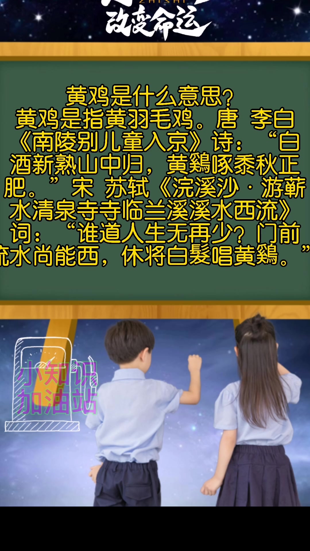 黄鸡是什么意思? 