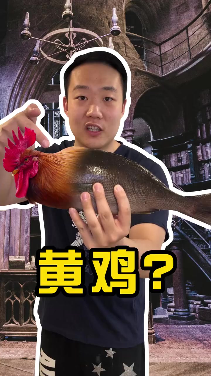 黄鸡是什么意思你知道吗