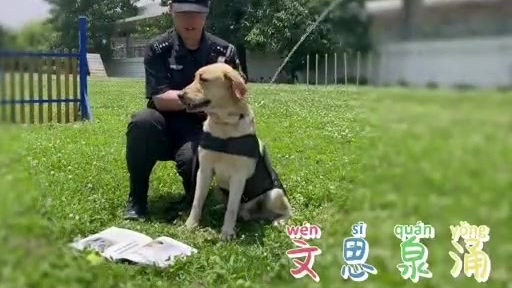 【高考送祝福!地铁明星警犬天团申请出战!】听闻要给2021高考的考生们送祝福,地铁公安分局
