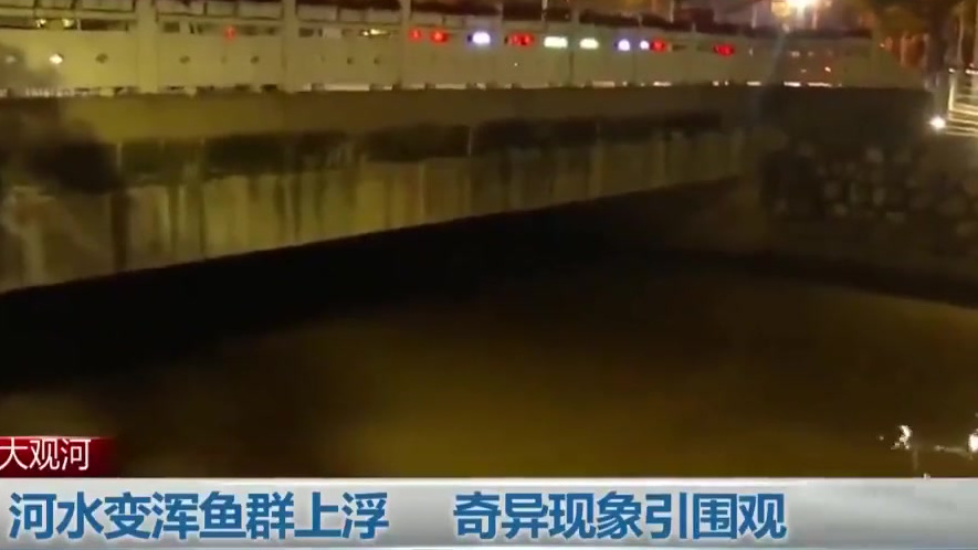 【昆明大观河水变浑鱼群上浮?原因是这↓↓】近日,云南昆明,雨后的大观河河水变浑,水里的鱼群